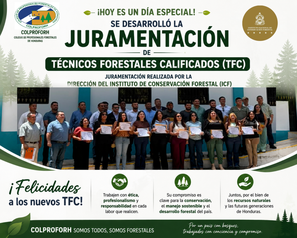 ¡𝐅𝐄𝐋𝐈𝐂𝐈𝐃𝐀𝐃𝐄𝐒 𝐀 𝐋𝐎𝐒 𝐍𝐔𝐄𝐕𝐎𝐒 𝐓É𝐂𝐍𝐈𝐂𝐎𝐒 𝐅𝐎𝐑𝐄𝐒𝐓𝐀𝐋𝐄𝐒 𝐂𝐀𝐋𝐈𝐅𝐈𝐂𝐀𝐃𝐎𝐒 (𝐓𝐅𝐂)!